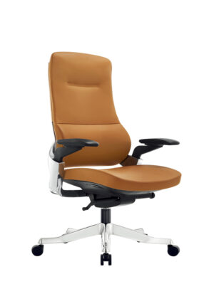 A01 office chair 2