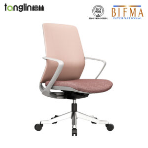 B93 Martin staff office chair economic price with nice design
