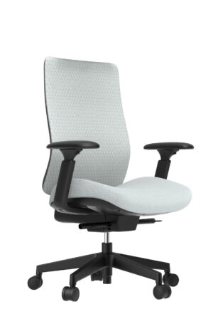 B116 black frame mesh ergonomic chair