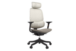 A108 molded foam seat double back functional ergonomic office chair adjustable lumbar support