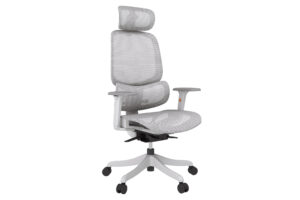 A108-HS-QW mesh seat double back functional ergonomic office chair adjustable lumbar support